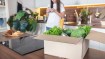 Can Hello Fresh Deliveries Help With Meal Planning?