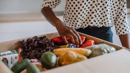 The Basics of Using Hello Fresh for Meal Deliveries